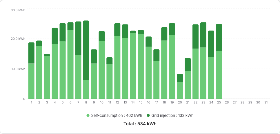 A month of production, split between self-consumption and grid injection